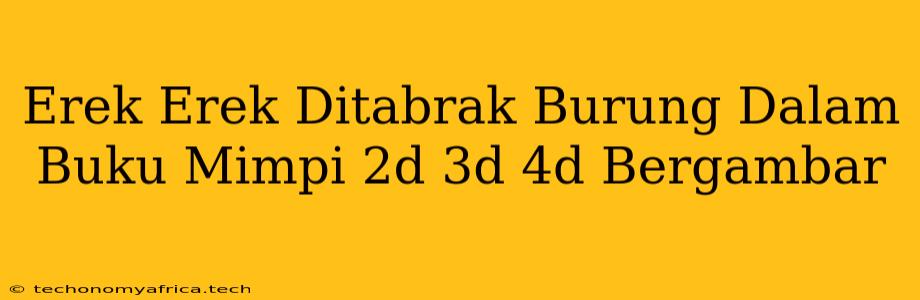 Erek Erek Ditabrak Burung Dalam Buku Mimpi 2d 3d 4d Bergambar