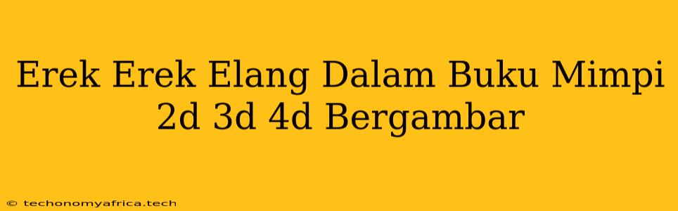 Erek Erek Elang Dalam Buku Mimpi 2d 3d 4d Bergambar