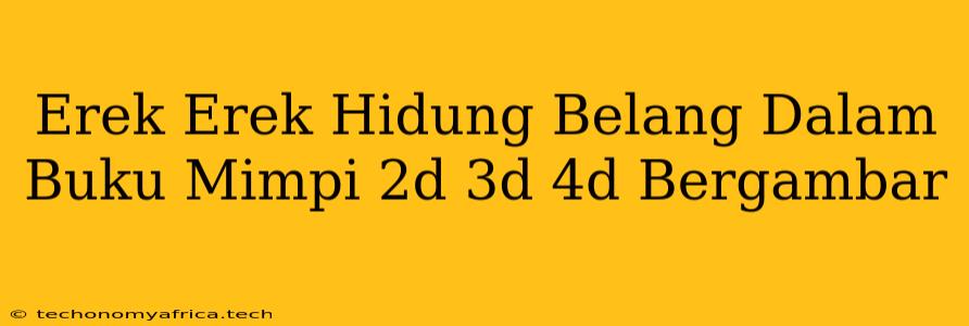 Erek Erek Hidung Belang Dalam Buku Mimpi 2d 3d 4d Bergambar