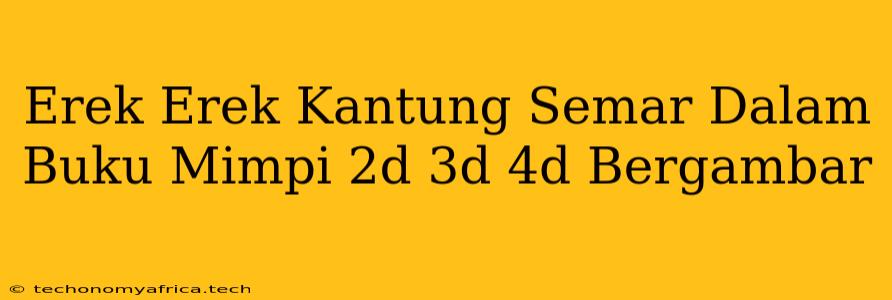 Erek Erek Kantung Semar Dalam Buku Mimpi 2d 3d 4d Bergambar