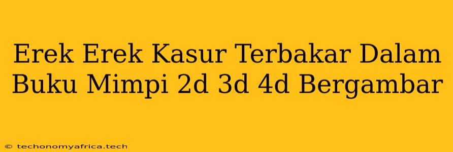 Erek Erek Kasur Terbakar Dalam Buku Mimpi 2d 3d 4d Bergambar