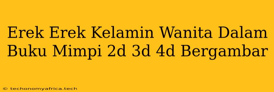 Erek Erek Kelamin Wanita Dalam Buku Mimpi 2d 3d 4d Bergambar