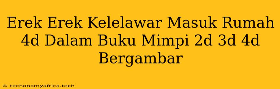 Erek Erek Kelelawar Masuk Rumah 4d Dalam Buku Mimpi 2d 3d 4d Bergambar