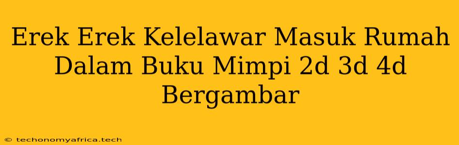 Erek Erek Kelelawar Masuk Rumah Dalam Buku Mimpi 2d 3d 4d Bergambar