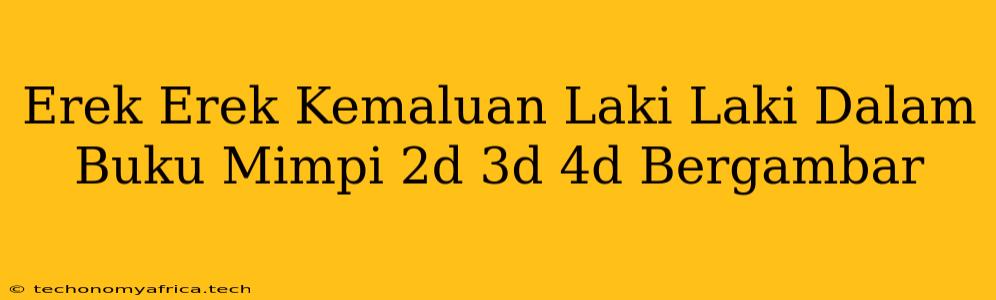 Erek Erek Kemaluan Laki Laki Dalam Buku Mimpi 2d 3d 4d Bergambar