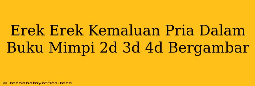 Erek Erek Kemaluan Pria Dalam Buku Mimpi 2d 3d 4d Bergambar