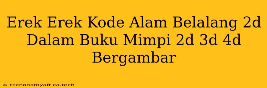 Erek Erek Kode Alam Belalang 2d Dalam Buku Mimpi 2d 3d 4d Bergambar