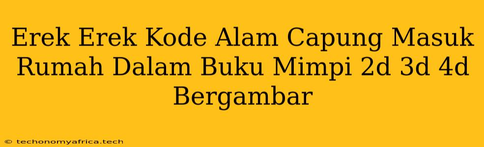 Erek Erek Kode Alam Capung Masuk Rumah Dalam Buku Mimpi 2d 3d 4d Bergambar