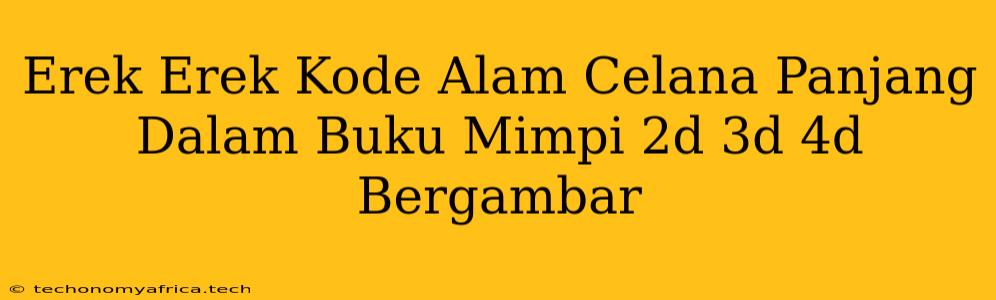 Erek Erek Kode Alam Celana Panjang Dalam Buku Mimpi 2d 3d 4d Bergambar