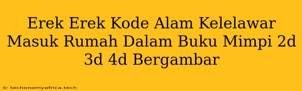 Erek Erek Kode Alam Kelelawar Masuk Rumah Dalam Buku Mimpi 2d 3d 4d Bergambar