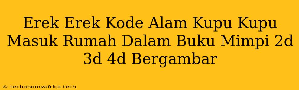 Erek Erek Kode Alam Kupu Kupu Masuk Rumah Dalam Buku Mimpi 2d 3d 4d Bergambar