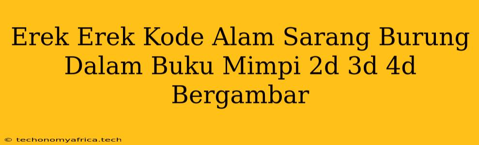 Erek Erek Kode Alam Sarang Burung Dalam Buku Mimpi 2d 3d 4d Bergambar