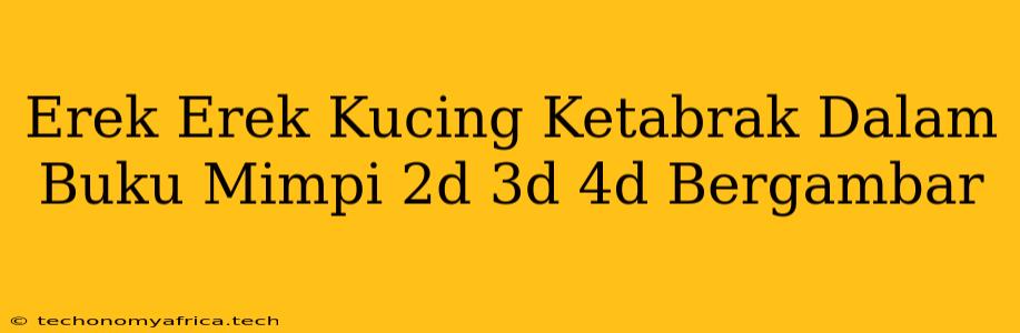 Erek Erek Kucing Ketabrak Dalam Buku Mimpi 2d 3d 4d Bergambar