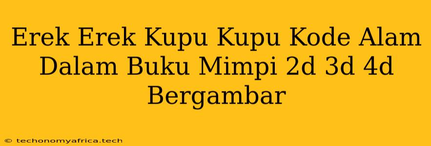 Erek Erek Kupu Kupu Kode Alam Dalam Buku Mimpi 2d 3d 4d Bergambar