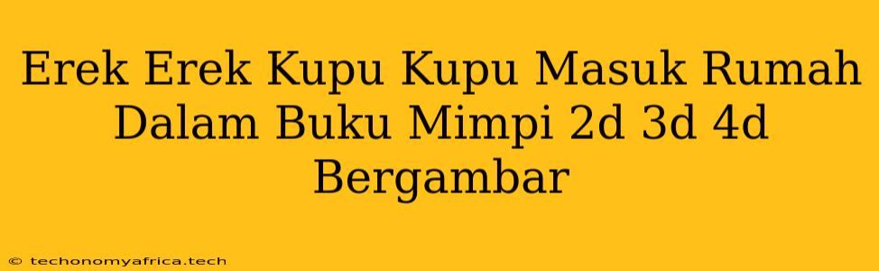 Erek Erek Kupu Kupu Masuk Rumah Dalam Buku Mimpi 2d 3d 4d Bergambar