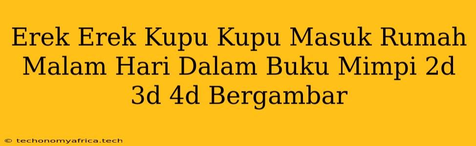 Erek Erek Kupu Kupu Masuk Rumah Malam Hari Dalam Buku Mimpi 2d 3d 4d Bergambar