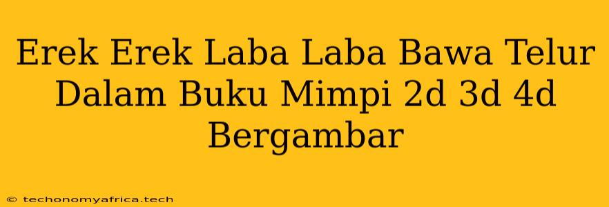 Erek Erek Laba Laba Bawa Telur Dalam Buku Mimpi 2d 3d 4d Bergambar