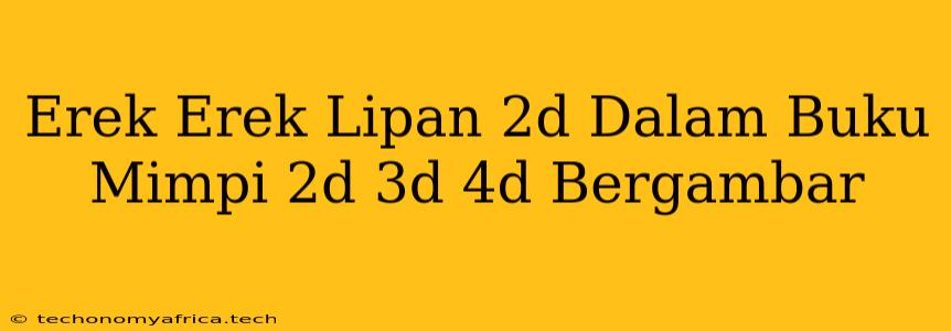 Erek Erek Lipan 2d Dalam Buku Mimpi 2d 3d 4d Bergambar