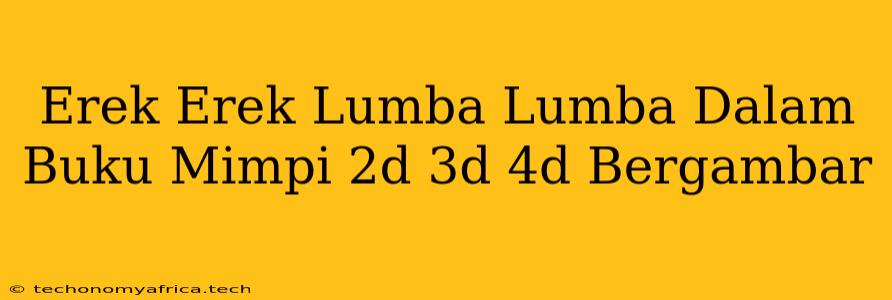 Erek Erek Lumba Lumba Dalam Buku Mimpi 2d 3d 4d Bergambar