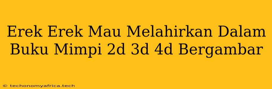 Erek Erek Mau Melahirkan Dalam Buku Mimpi 2d 3d 4d Bergambar