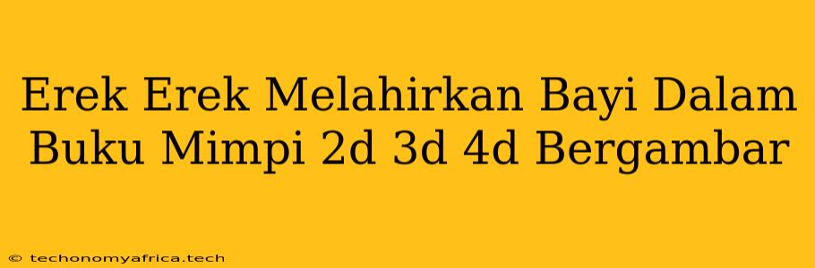 Erek Erek Melahirkan Bayi Dalam Buku Mimpi 2d 3d 4d Bergambar