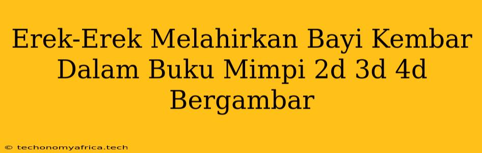 Erek-Erek Melahirkan Bayi Kembar Dalam Buku Mimpi 2d 3d 4d Bergambar