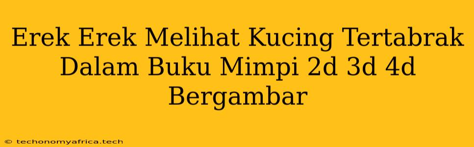 Erek Erek Melihat Kucing Tertabrak Dalam Buku Mimpi 2d 3d 4d Bergambar