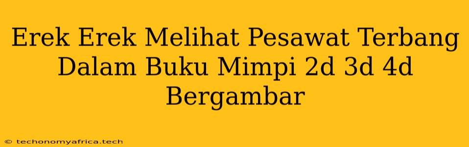 Erek Erek Melihat Pesawat Terbang Dalam Buku Mimpi 2d 3d 4d Bergambar