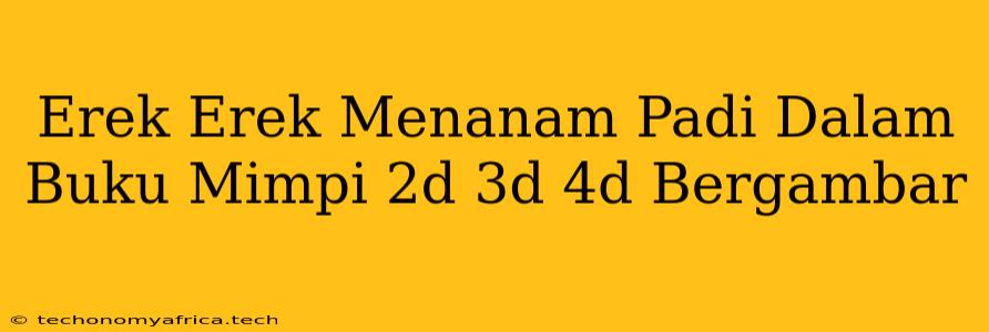 Erek Erek Menanam Padi Dalam Buku Mimpi 2d 3d 4d Bergambar