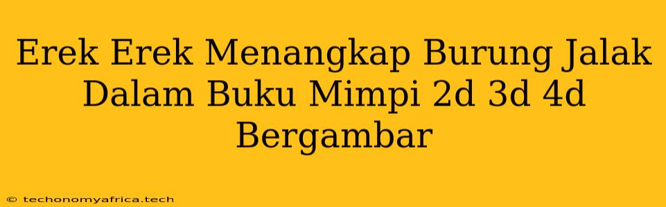 Erek Erek Menangkap Burung Jalak Dalam Buku Mimpi 2d 3d 4d Bergambar