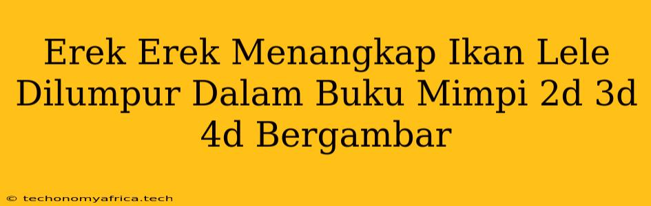 Erek Erek Menangkap Ikan Lele Dilumpur Dalam Buku Mimpi 2d 3d 4d Bergambar