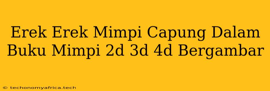 Erek Erek Mimpi Capung Dalam Buku Mimpi 2d 3d 4d Bergambar