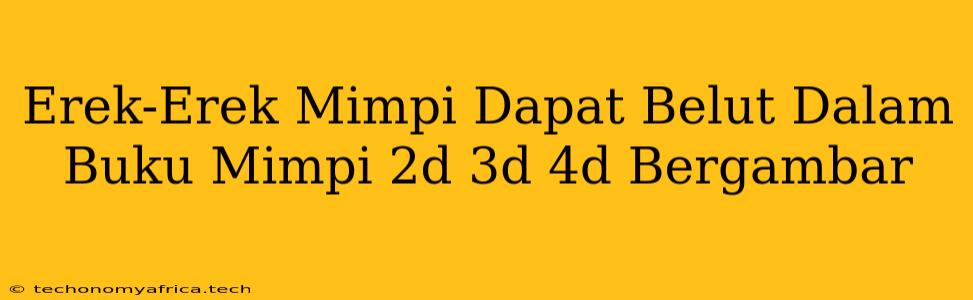 Erek-Erek Mimpi Dapat Belut Dalam Buku Mimpi 2d 3d 4d Bergambar