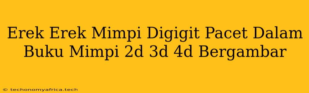 Erek Erek Mimpi Digigit Pacet Dalam Buku Mimpi 2d 3d 4d Bergambar