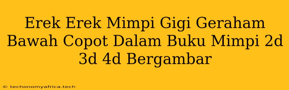 Erek Erek Mimpi Gigi Geraham Bawah Copot Dalam Buku Mimpi 2d 3d 4d Bergambar