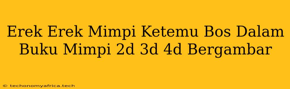 Erek Erek Mimpi Ketemu Bos Dalam Buku Mimpi 2d 3d 4d Bergambar