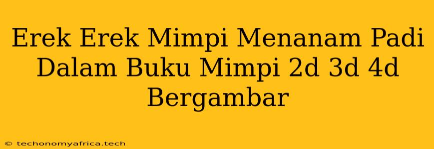 Erek Erek Mimpi Menanam Padi Dalam Buku Mimpi 2d 3d 4d Bergambar