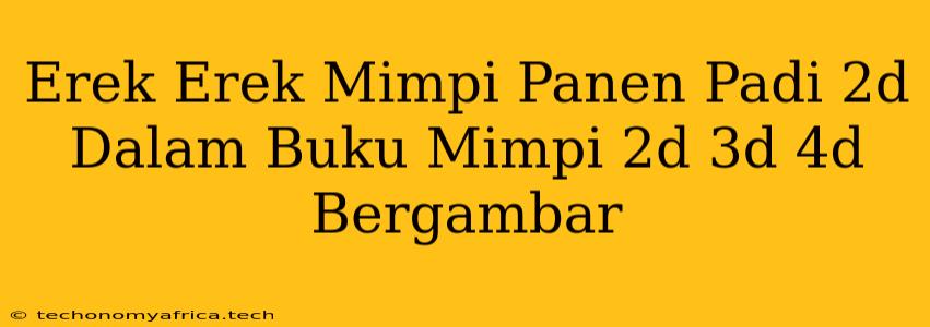 Erek Erek Mimpi Panen Padi 2d Dalam Buku Mimpi 2d 3d 4d Bergambar