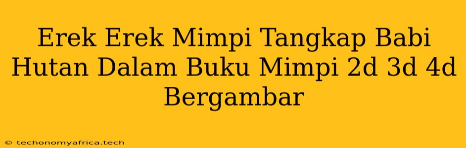 Erek Erek Mimpi Tangkap Babi Hutan Dalam Buku Mimpi 2d 3d 4d Bergambar