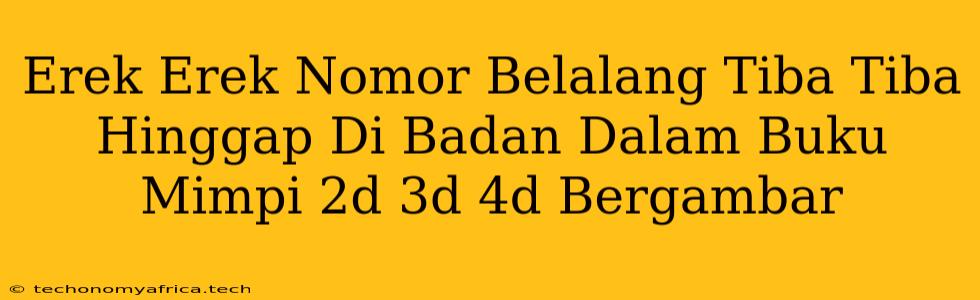 Erek Erek Nomor Belalang Tiba Tiba Hinggap Di Badan Dalam Buku Mimpi 2d 3d 4d Bergambar