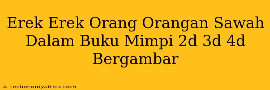 Erek Erek Orang Orangan Sawah Dalam Buku Mimpi 2d 3d 4d Bergambar