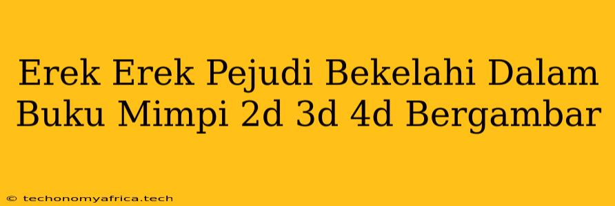 Erek Erek Pejudi Bekelahi Dalam Buku Mimpi 2d 3d 4d Bergambar