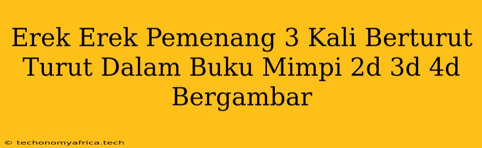 Erek Erek Pemenang 3 Kali Berturut Turut Dalam Buku Mimpi 2d 3d 4d Bergambar