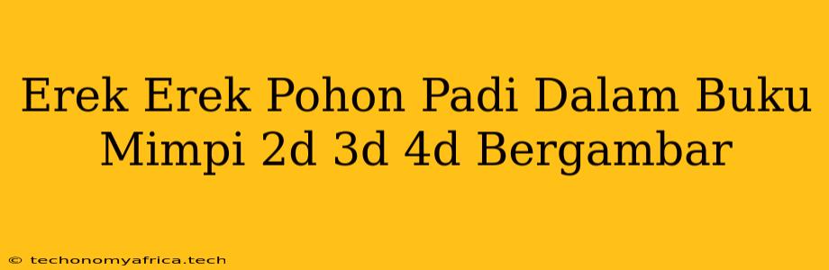 Erek Erek Pohon Padi Dalam Buku Mimpi 2d 3d 4d Bergambar