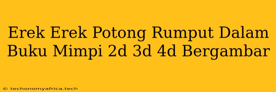 Erek Erek Potong Rumput Dalam Buku Mimpi 2d 3d 4d Bergambar