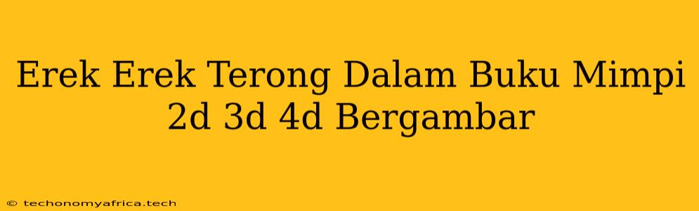 Erek Erek Terong Dalam Buku Mimpi 2d 3d 4d Bergambar