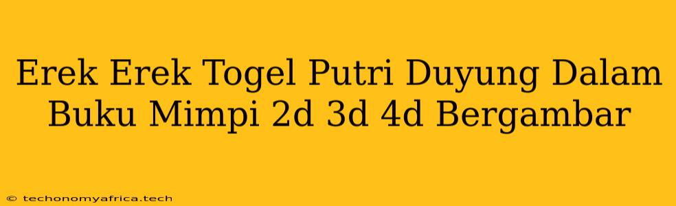 Erek Erek Togel Putri Duyung Dalam Buku Mimpi 2d 3d 4d Bergambar