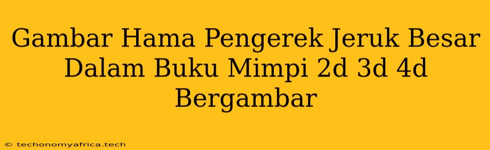 Gambar Hama Pengerek Jeruk Besar Dalam Buku Mimpi 2d 3d 4d Bergambar