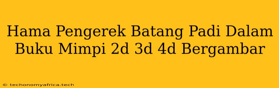 Hama Pengerek Batang Padi Dalam Buku Mimpi 2d 3d 4d Bergambar