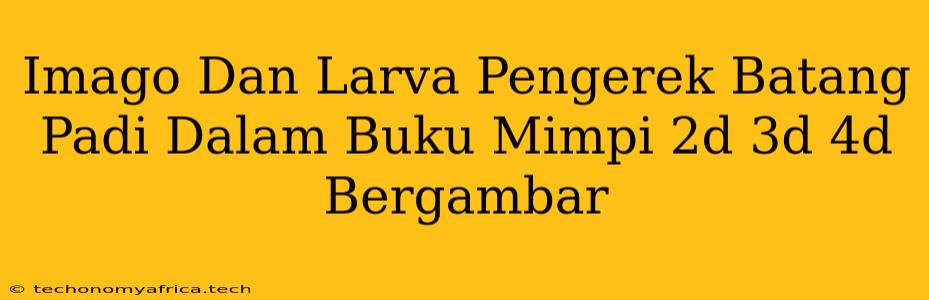 Imago Dan Larva Pengerek Batang Padi Dalam Buku Mimpi 2d 3d 4d Bergambar